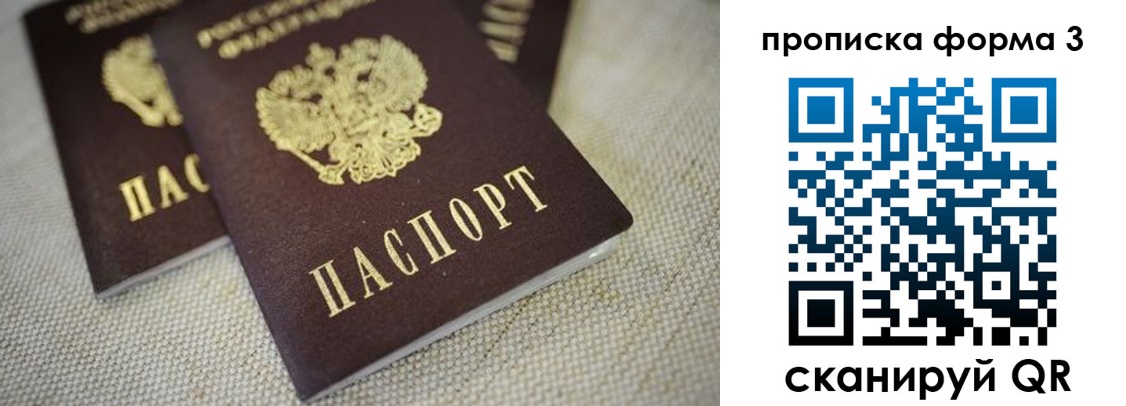 прописка поиск в Великих Луках